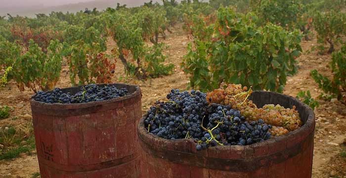 gourmet-wine-tours-spain.jpg