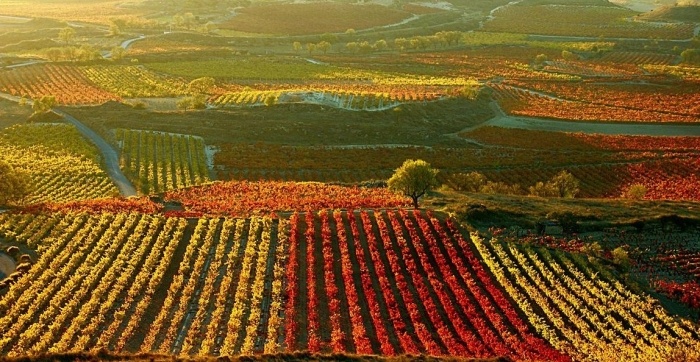lariojaTG rioja