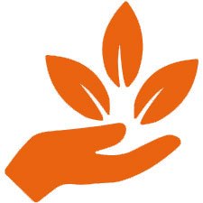 nature-orange